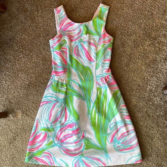 Lilly Pulitzer Dresses & Skirts - Lilly Pulitzer XS worn 1 time